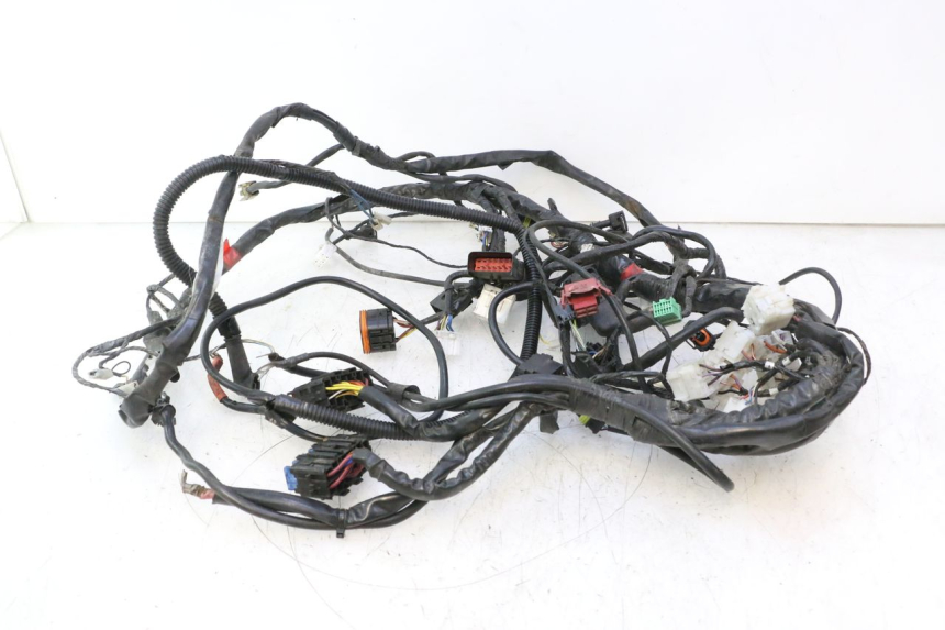 photo de WIRE HARNESS GILERA GP 800 (2007 - 2013) - Alternative angle