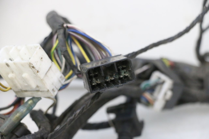 photo de WIRE HARNESS GILERA GP 800 (2007 - 2013) - Surface and material condition