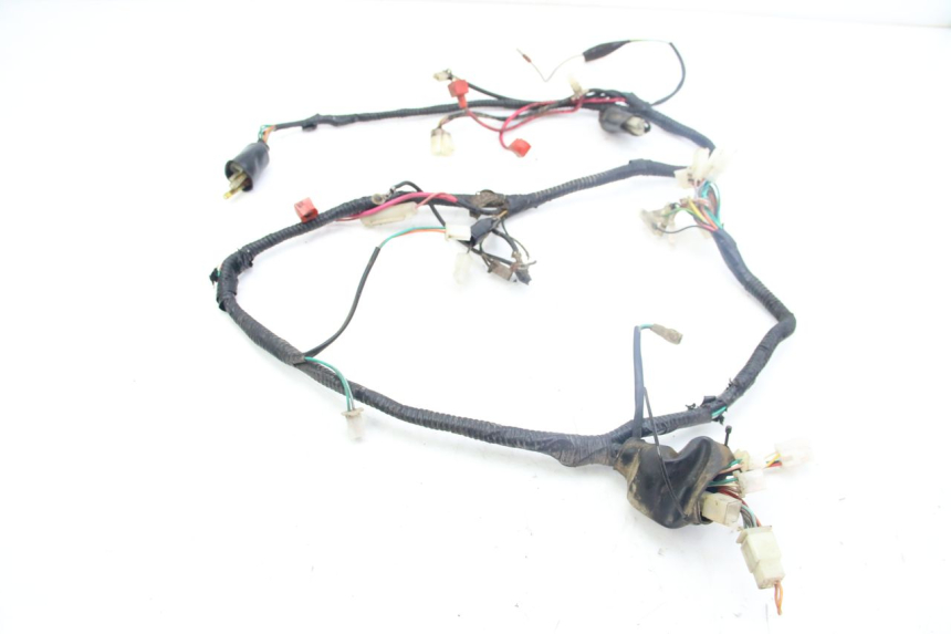 photo de WIRING HARNESS TNT MOTOR GRIDO 2T 50 (2010 - 2019) - Main view