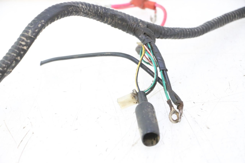photo de WIRING HARNESS TNT MOTOR GRIDO 2T 50 (2010 - 2019) - Surface and material condition