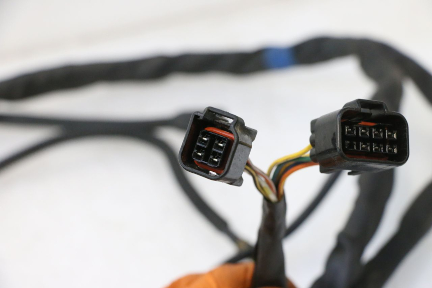 photo de WIRE HARNESS SUZUKI GSF N BANDIT 1200 (2001 - 2005) - Detailed visual inspection