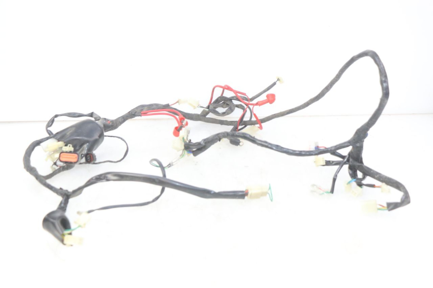 photo de WIRING HARNESS EUROCKA GTR 50 (2007 - 2017) - Main view