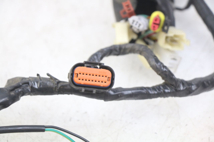 photo de WIRING HARNESS EUROCKA GTR 50 (2007 - 2017) - Component detail