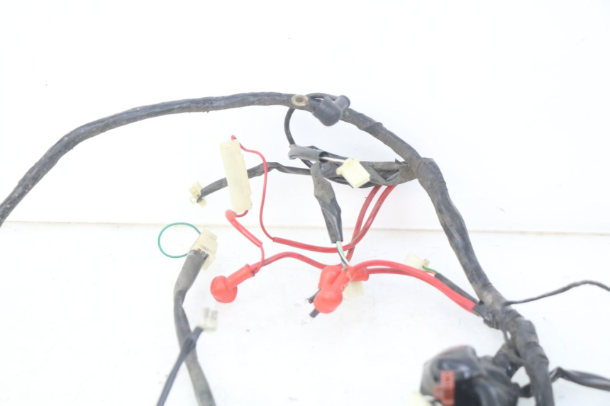 photo de WIRING HARNESS EUROCKA GTR 50 (2007 - 2017) - Alternative perspective
