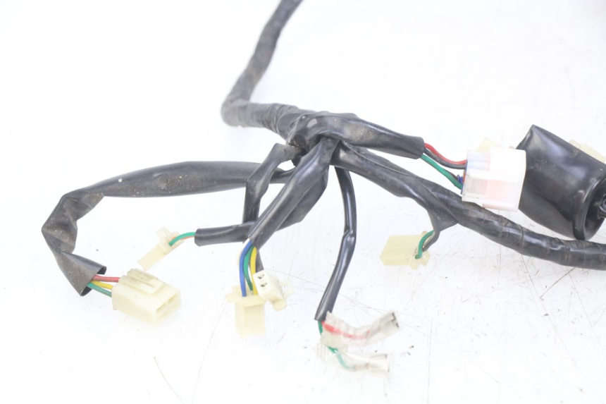 photo de WIRING HARNESS EUROCKA GTR 50 (2007 - 2017) - Technical close-up