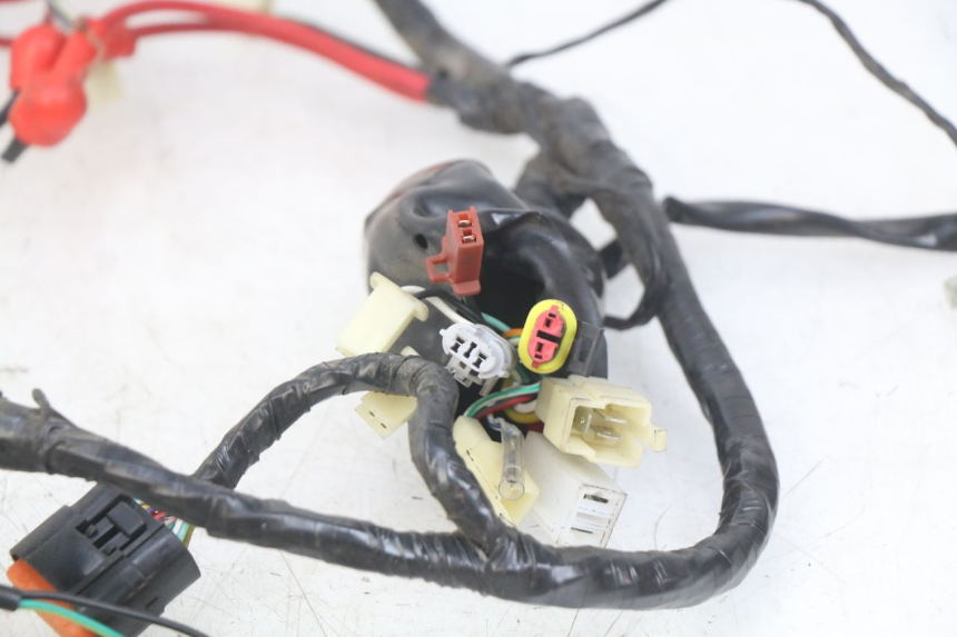 photo de WIRING HARNESS EUROCKA GTR 50 (2007 - 2017) - Product overview