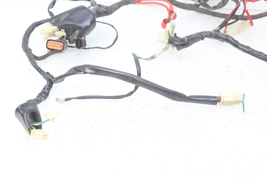 photo de WIRING HARNESS EUROCKA GTR 50 (2007 - 2017) - Fixing points details