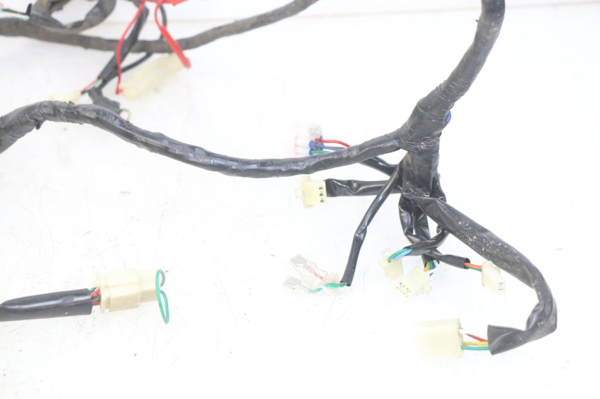 photo de WIRING HARNESS EUROCKA GTR 50 (2007 - 2017) - Surface and material condition
