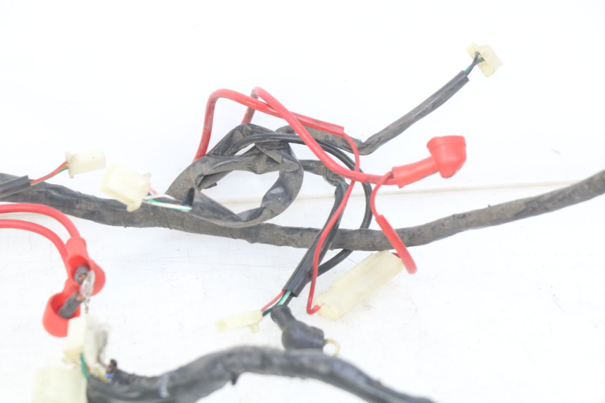 photo de WIRING HARNESS EUROCKA GTR 50 (2007 - 2017) - Checked used part