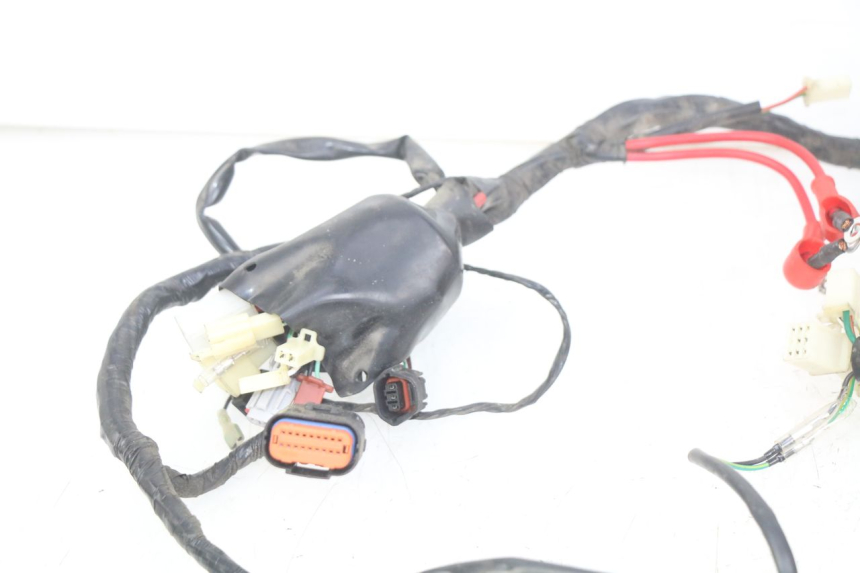 photo de WIRING HARNESS EUROCKA GTR 50 (2007 - 2017) - Markings and original references