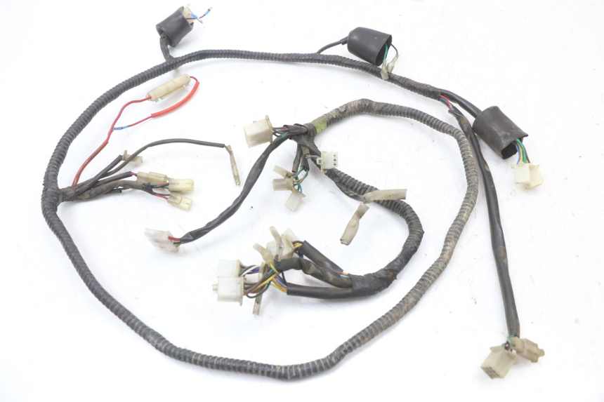 photo de WIRING HARNESS EUROCKA GTR 50 (2007 - 2017) - Main view