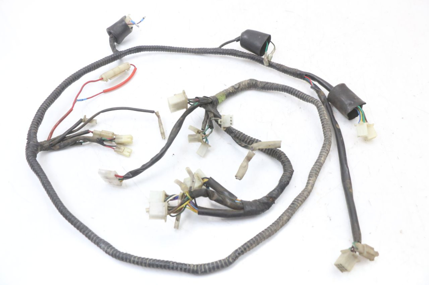 photo de WIRING HARNESS EUROCKA GTR 50 (2007 - 2017) - Component detail