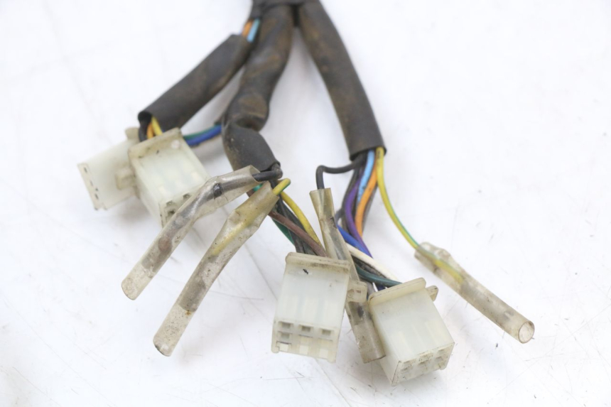 photo de WIRING HARNESS EUROCKA GTR 50 (2007 - 2017) - Zoom on usage condition
