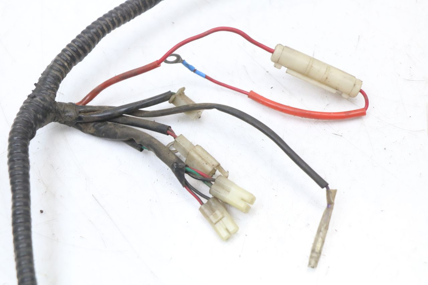 photo de WIRING HARNESS EUROCKA GTR 50 (2007 - 2017) - Product overview
