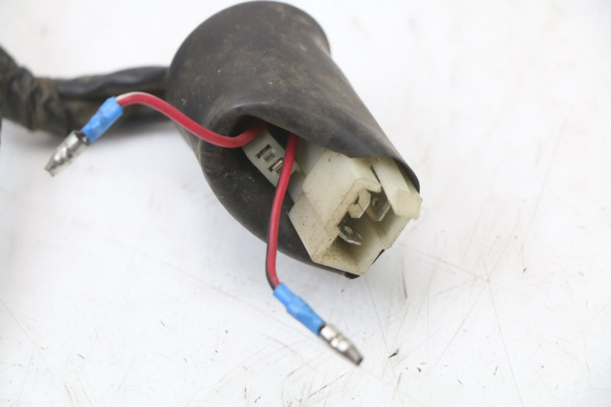 photo de WIRING HARNESS EUROCKA GTR 50 (2007 - 2017) - Fixing points details