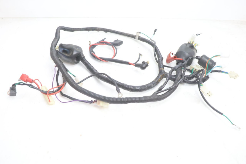 photo de WIRING HARNESS EUROCKA GTR 50 (2007 - 2017) - Main view