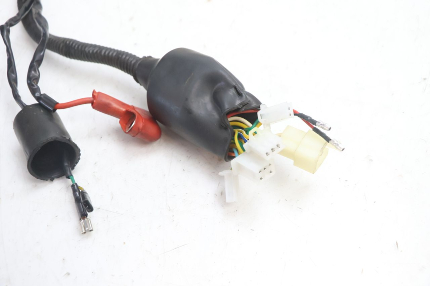 photo de WIRING HARNESS EUROCKA GTR 50 (2007 - 2017) - Component detail