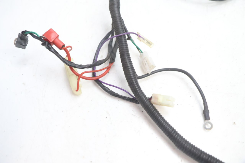 photo de WIRING HARNESS EUROCKA GTR 50 (2007 - 2017) - Zoom on usage condition