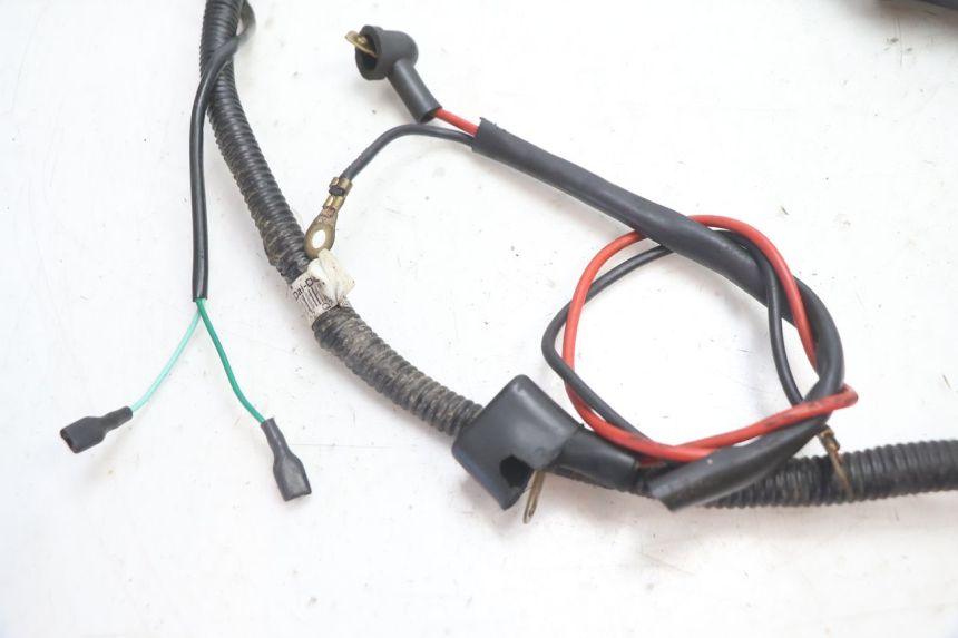 photo de WIRING HARNESS EUROCKA GTR 50 (2007 - 2017) - Alternative perspective