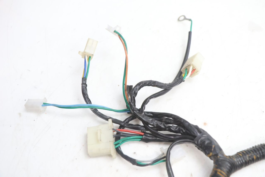 photo de WIRING HARNESS EUROCKA GTR 50 (2007 - 2017) - Technical close-up