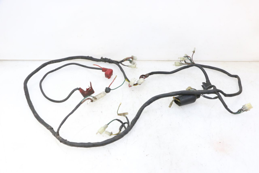 photo de WIRING HARNESS DAELIM HISTORY 125 (2001 - 2002) - Main view