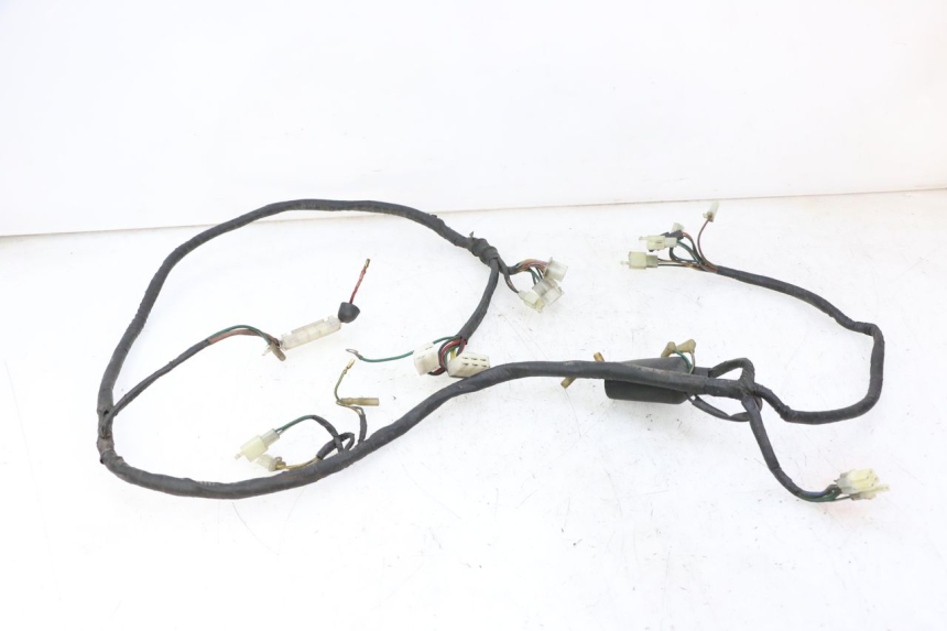 photo de WIRING HARNESS DAELIM HISTORY 125 (2001 - 2002) - Component detail