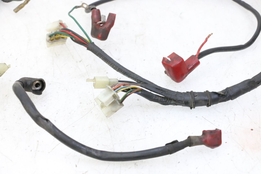 photo de WIRING HARNESS DAELIM HISTORY 125 (2001 - 2002) - Additional view of the item