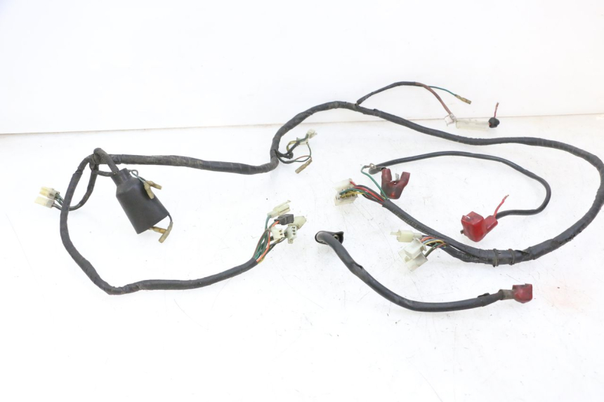 photo de WIRING HARNESS DAELIM HISTORY 125 (2001 - 2002) - Distinctive features