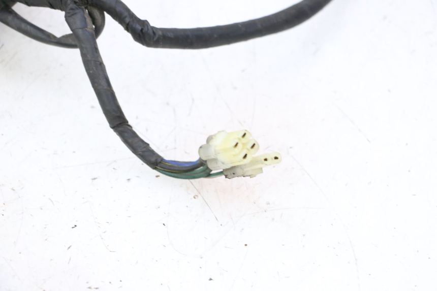photo de WIRING HARNESS DAELIM HISTORY 125 (2001 - 2002) - Zoom on usage condition