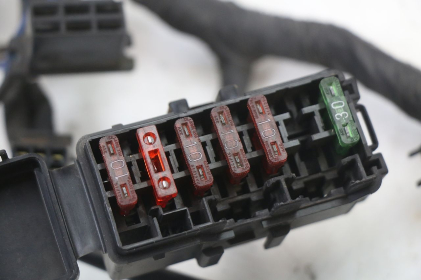 photo de WIRE HARNESS HONDA CBR F 1000 (1993 - 1996) - Alternative perspective