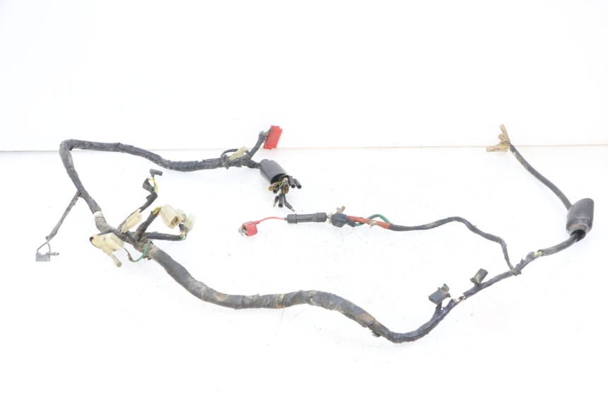photo de WIRE HARNESS HONDA MTX TC02 125 (1987 - 1989) - Markings and original references