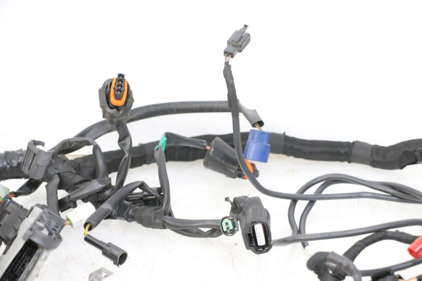 photo de WIRE HARNESS HUSQVARNA SVARTPILEN 401 (2018 - 2023) - Distinctive features