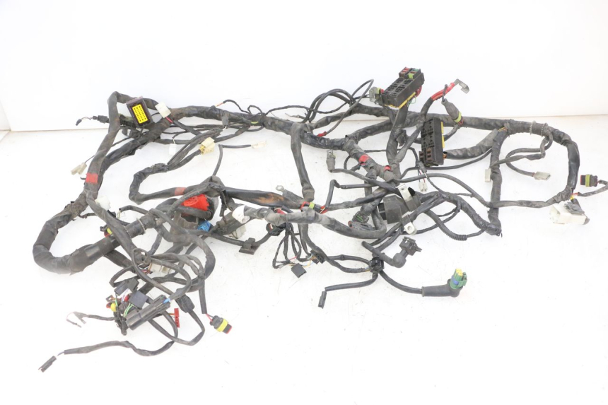 photo de WIRE HARNESS PIAGGIO IE MP3 YOURBAN 300 (2011 - 2016) - Main view