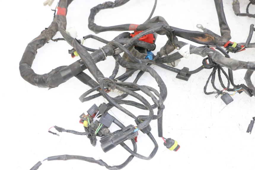 photo de WIRE HARNESS PIAGGIO IE MP3 YOURBAN 300 (2011 - 2016) - Focus on structure