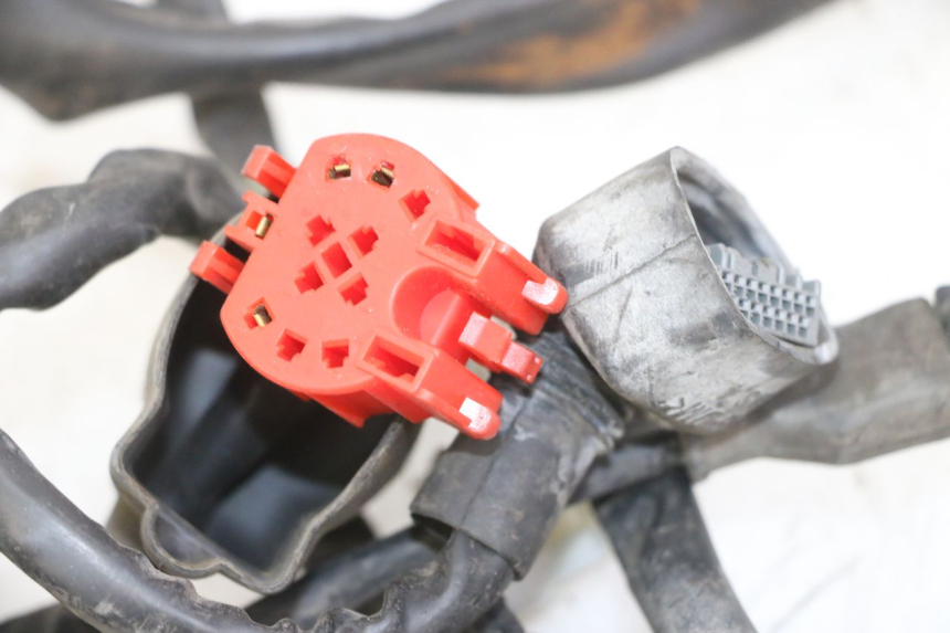 photo de WIRE HARNESS PIAGGIO IE MP3 YOURBAN 300 (2011 - 2016) - Markings and original references