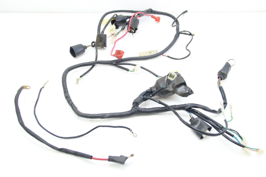 photo de WIRING HARNESS REVATTO IMPERATOR 125 (2007 - 2015) - Main view