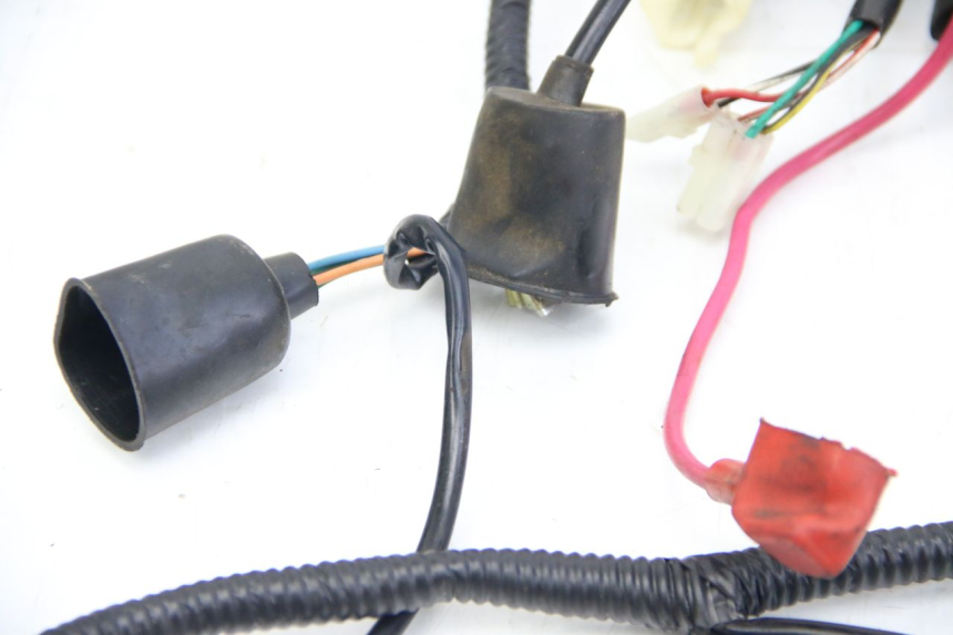 photo de WIRING HARNESS REVATTO IMPERATOR 125 (2007 - 2015) - Surface and material condition