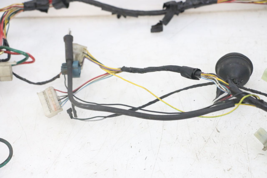photo de WIRE HARNESS PEUGEOT JET FORCE CARBU 50 (2003 - 2016) - Surface and material condition