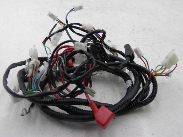 photo de WIRE HARNESS JM MOTOR JULIA 50 (2010 - 2014) - Main view
