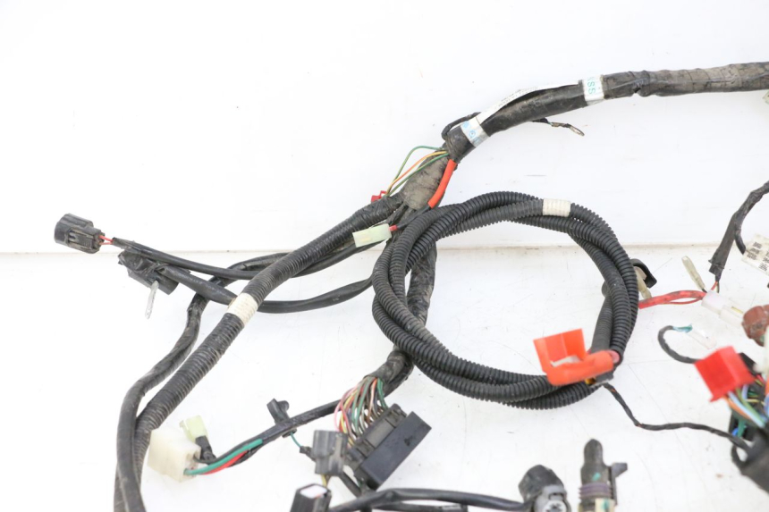 photo de WIRE HARNESS SYM JOYMAX 125 (2010 - 2017) - High-resolution close-up