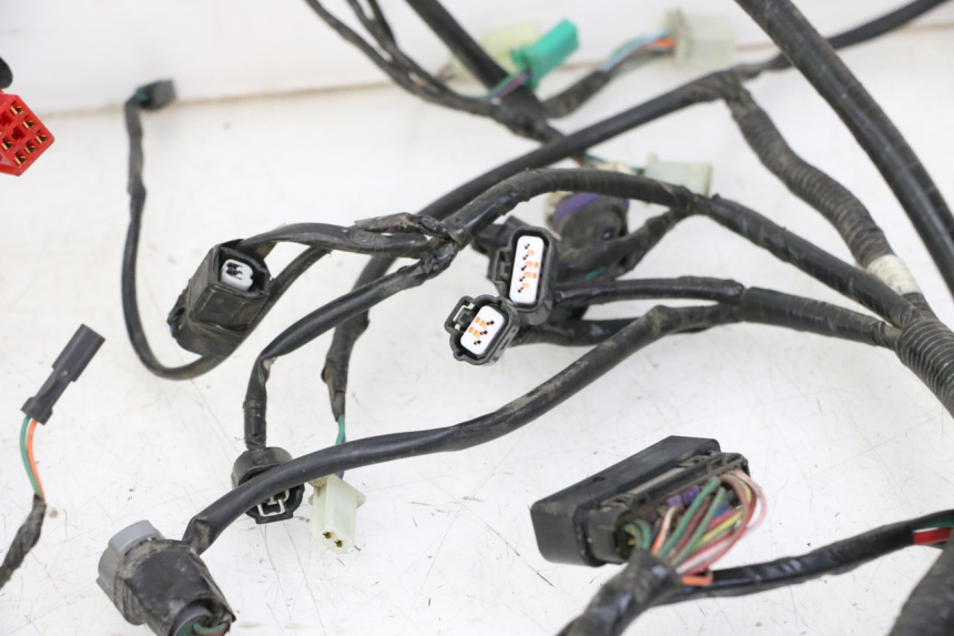 photo de WIRE HARNESS SYM JOYMAX 125 (2010 - 2017) - Alternative perspective