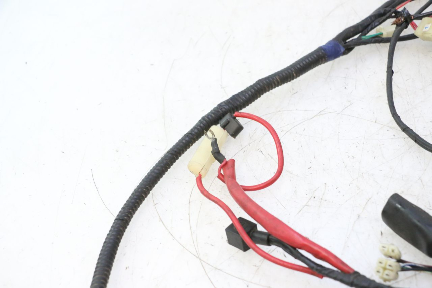 photo de WIRE HARNESS RIDE JUMP 2T 50 (2012 - 2017) - Alternative perspective