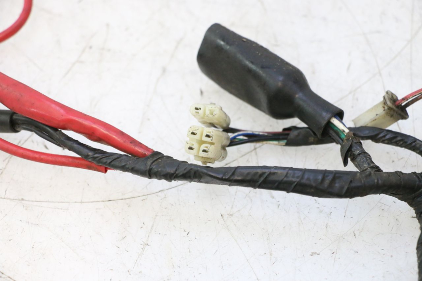 photo de WIRE HARNESS RIDE JUMP 2T 50 (2012 - 2017) - Technical close-up