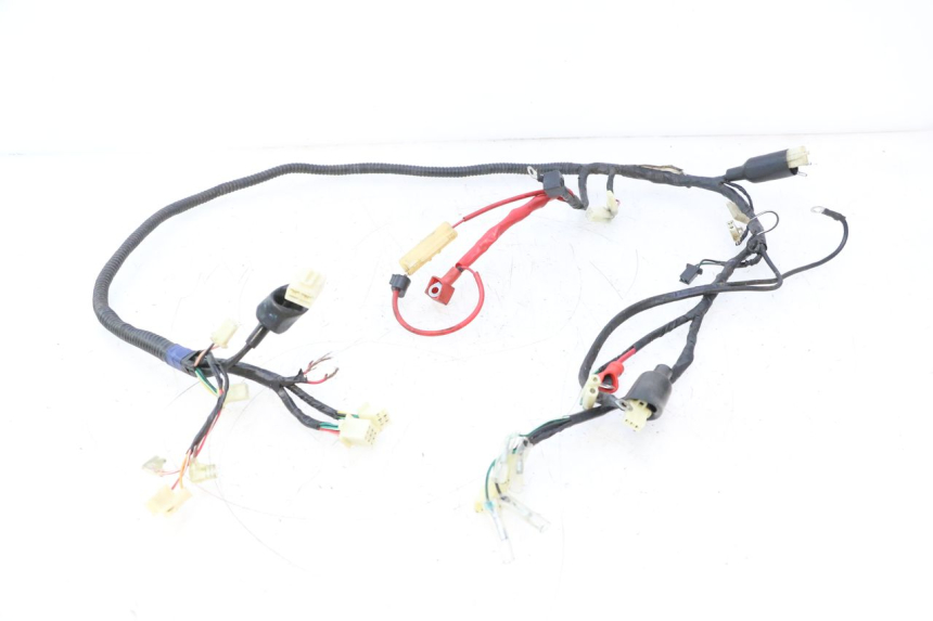 photo de WIRE HARNESS RIDE JUMP 2T 50 (2012 - 2017) - Main view