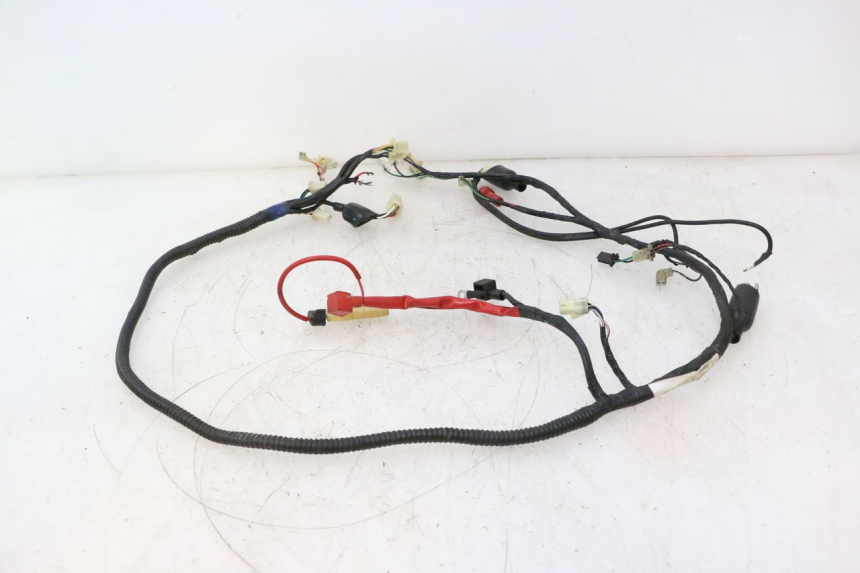 photo de WIRE HARNESS RIDE JUMP 2T 50 (2012 - 2017) - Technical close-up