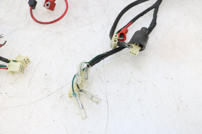 photo de WIRE HARNESS RIDE JUMP 2T 50 (2012 - 2017) - Surface and material condition