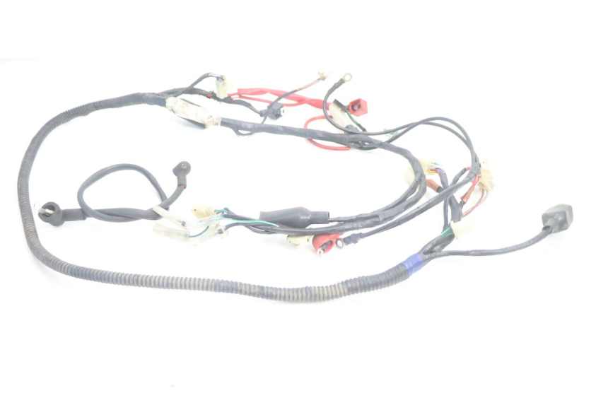 photo de WIRE HARNESS RIDE JUMP 2T 50 (2012 - 2017) - Main view
