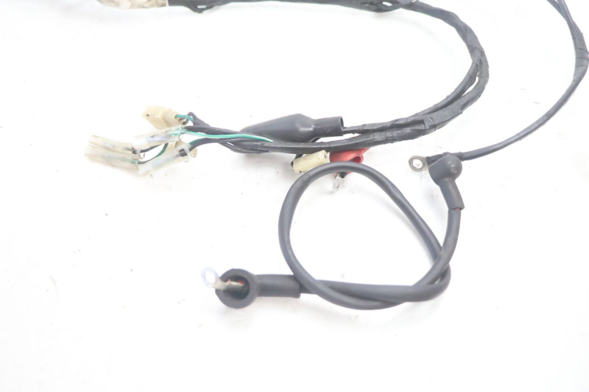 photo de WIRE HARNESS RIDE JUMP 2T 50 (2012 - 2017) - Alternative perspective