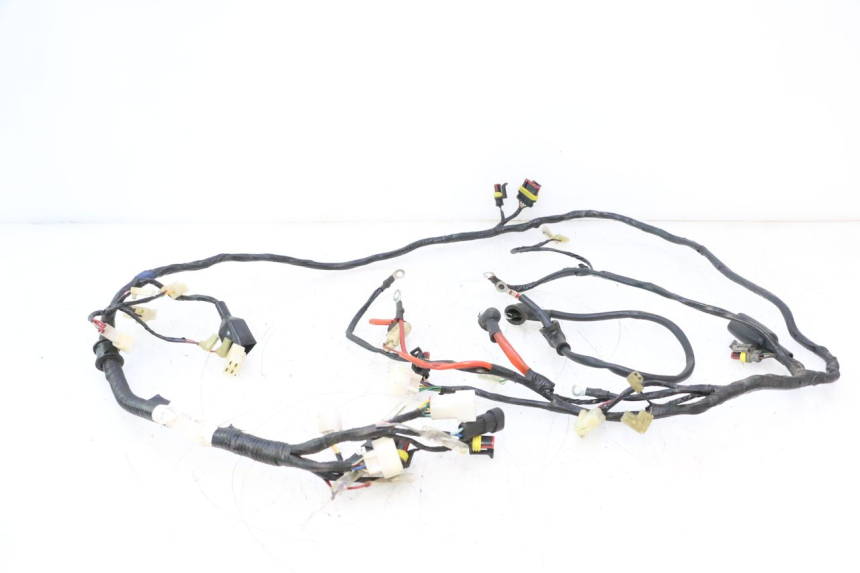 photo de WIRING HARNESS RIDE KALLIO 50 (2010 - 2019) - Main view