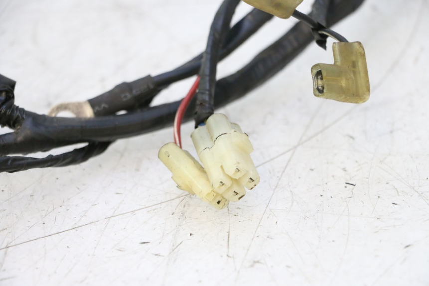 photo de WIRING HARNESS RIDE KALLIO 50 (2010 - 2019) - Component detail